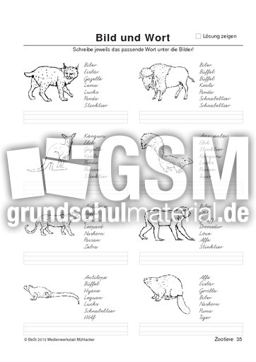 BuW Zootiere35.pdf